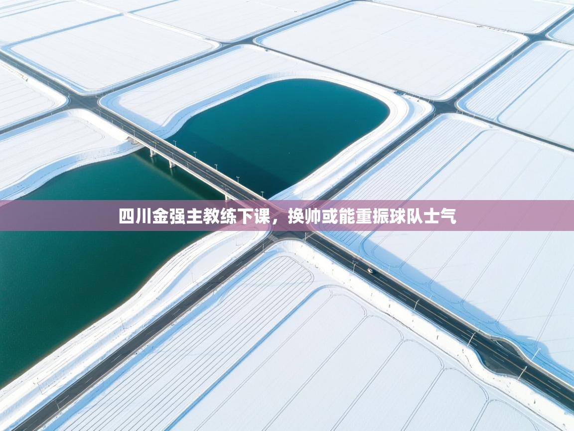 鲸蓝体育苹果-四川金强主教练下课，换帅或能重振球队士气  第2张