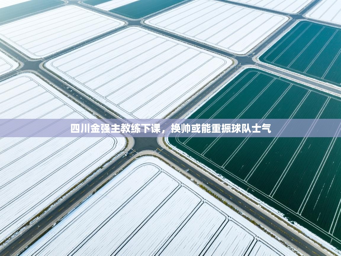 鲸蓝体育苹果-四川金强主教练下课，换帅或能重振球队士气  第4张