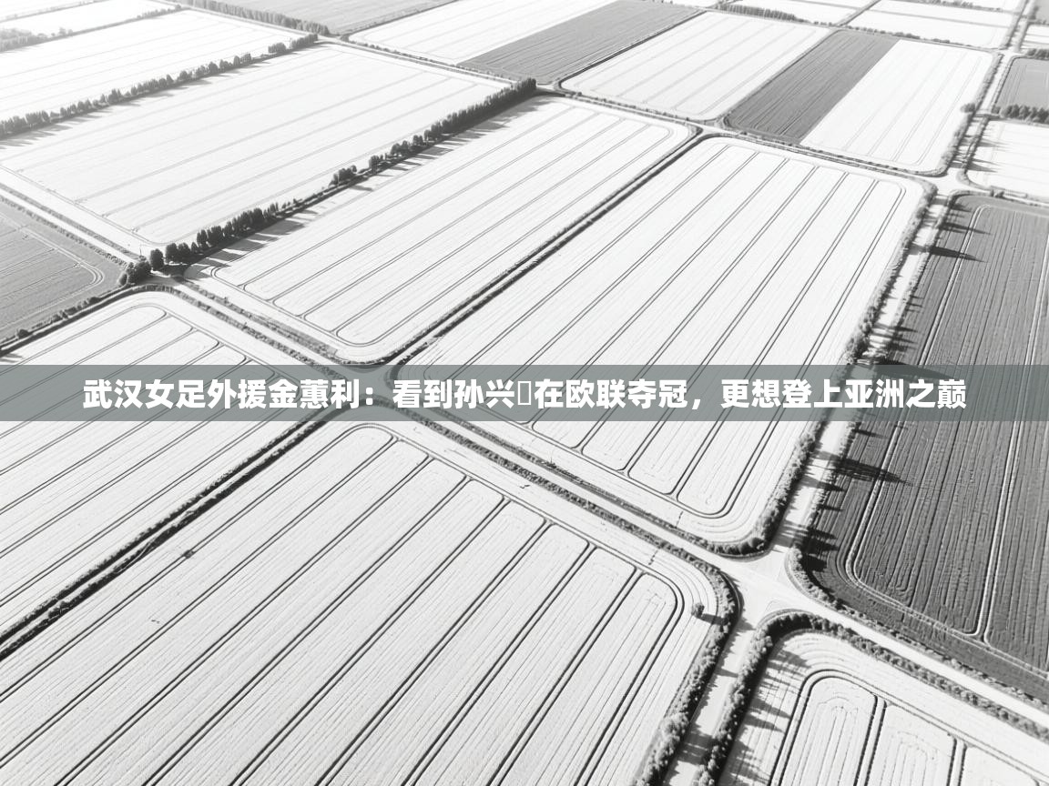 蓝鲸体育app官方下载-武汉女足外援金蕙利：看到孙兴慜在欧联夺冠，更想登上亚洲之巅  第4张