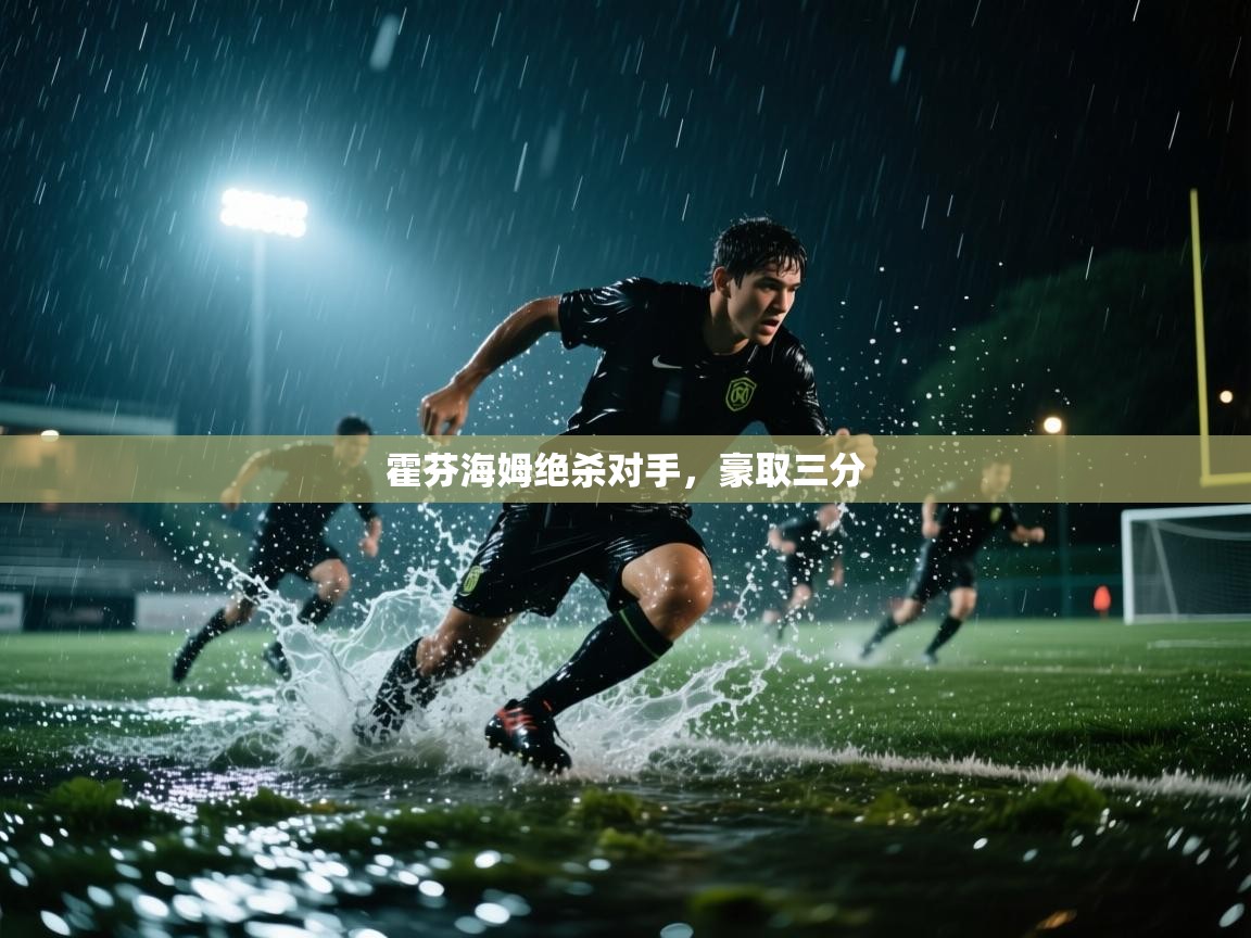 蓝鲸体育足球直播在线观看-霍芬海姆绝杀对手，豪取三分  第3张