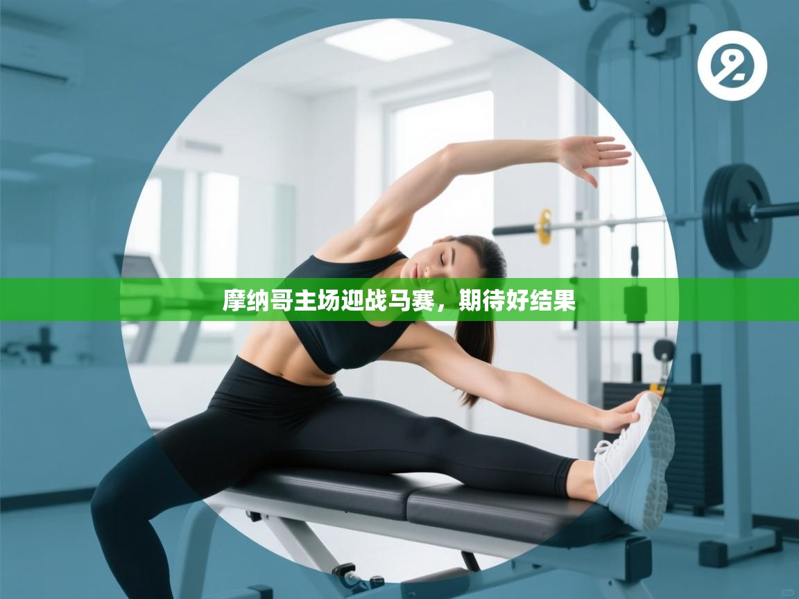 蓝鲸体育网页版入口-摩纳哥主场迎战马赛，期待好结果  第3张