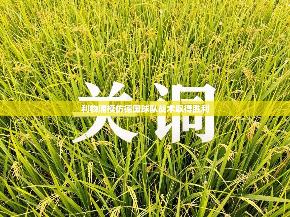 蓝鲸体育直播平台-利物浦模仿德国球队战术取得胜利 第3张