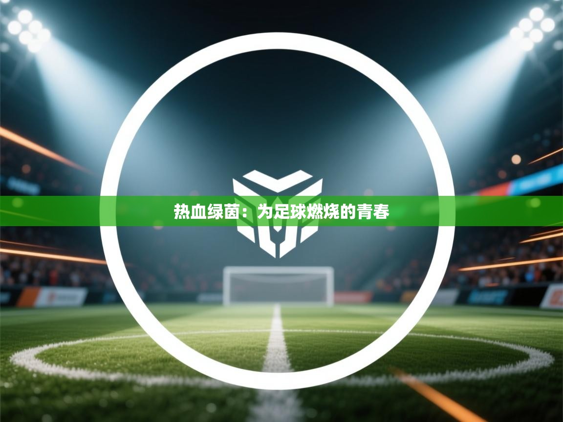 鲸蓝体育平台-热血绿茵：为足球燃烧的青春  第3张