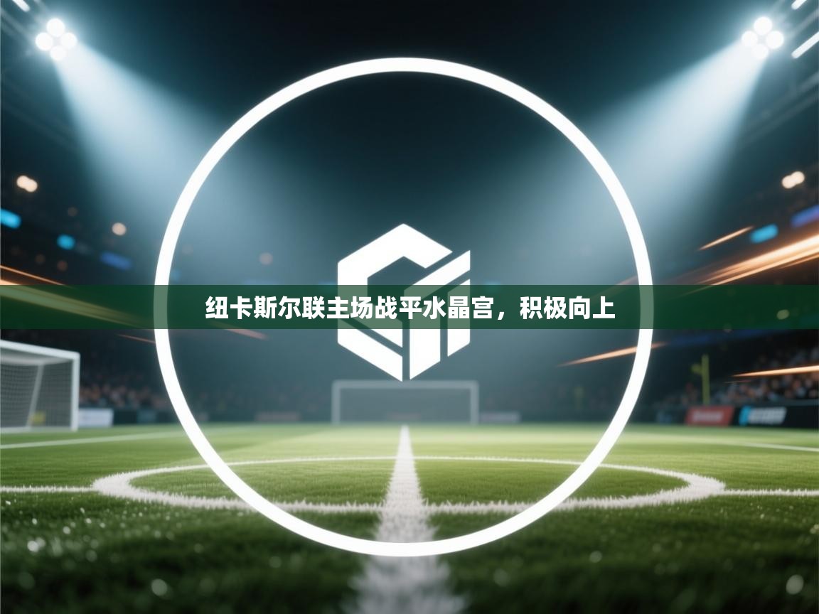 蓝鲸体育足球直播-纽卡斯尔联主场战平水晶宫,积极向上 第1张