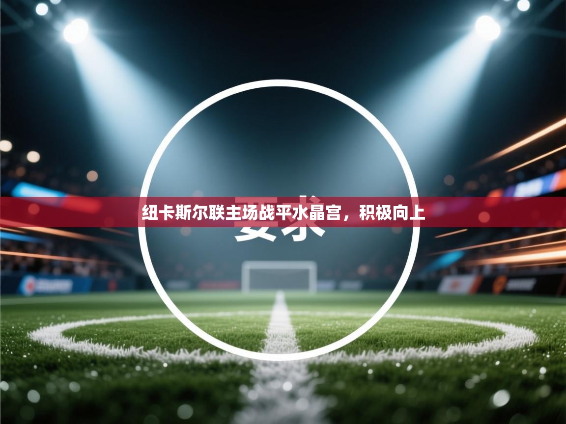 蓝鲸体育足球直播-纽卡斯尔联主场战平水晶宫,积极向上 第2张