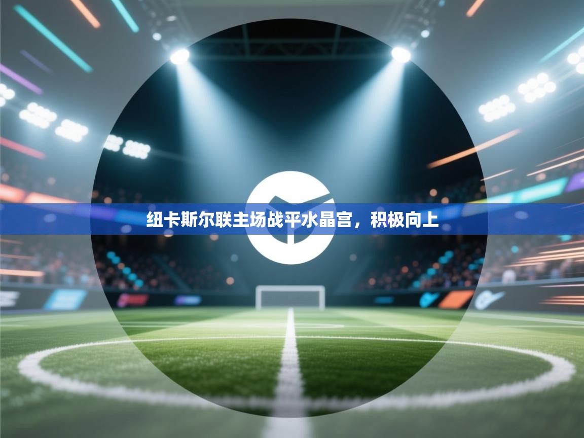 蓝鲸体育足球直播-纽卡斯尔联主场战平水晶宫,积极向上 第3张