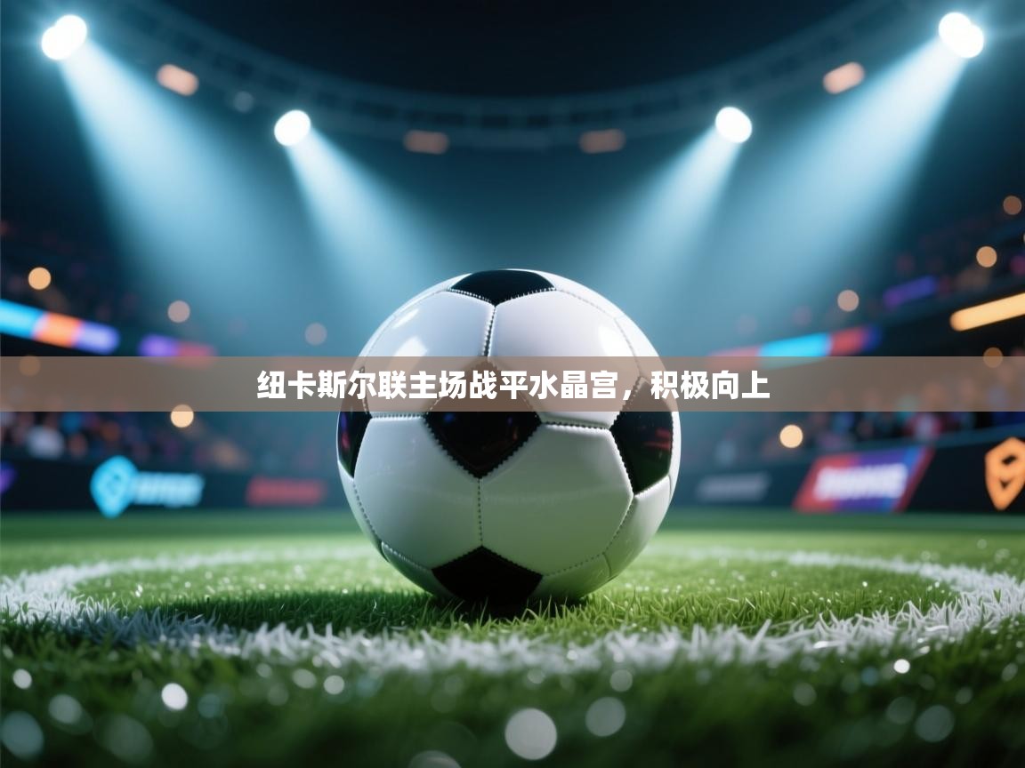 蓝鲸体育足球直播-纽卡斯尔联主场战平水晶宫,积极向上 第4张