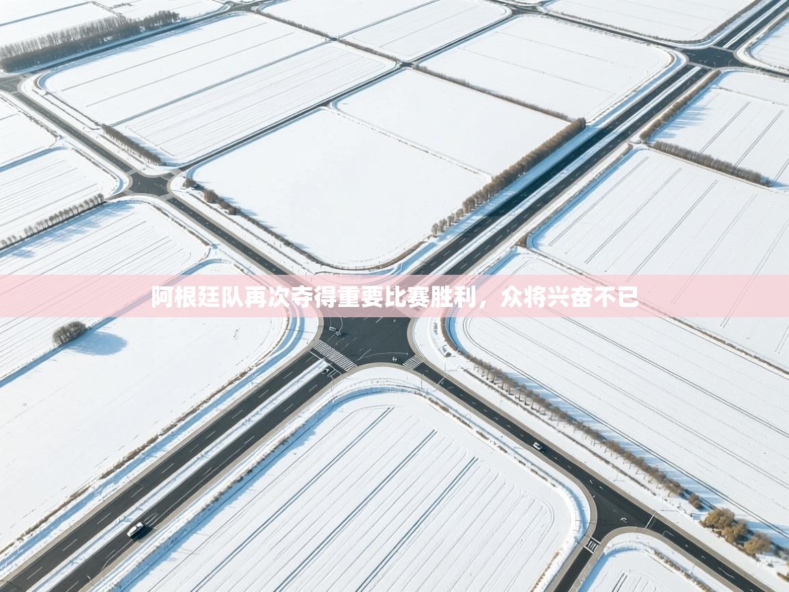 蓝鲸体育直播在线观看-阿根廷队再次夺得重要比赛胜利，众将兴奋不已  第1张