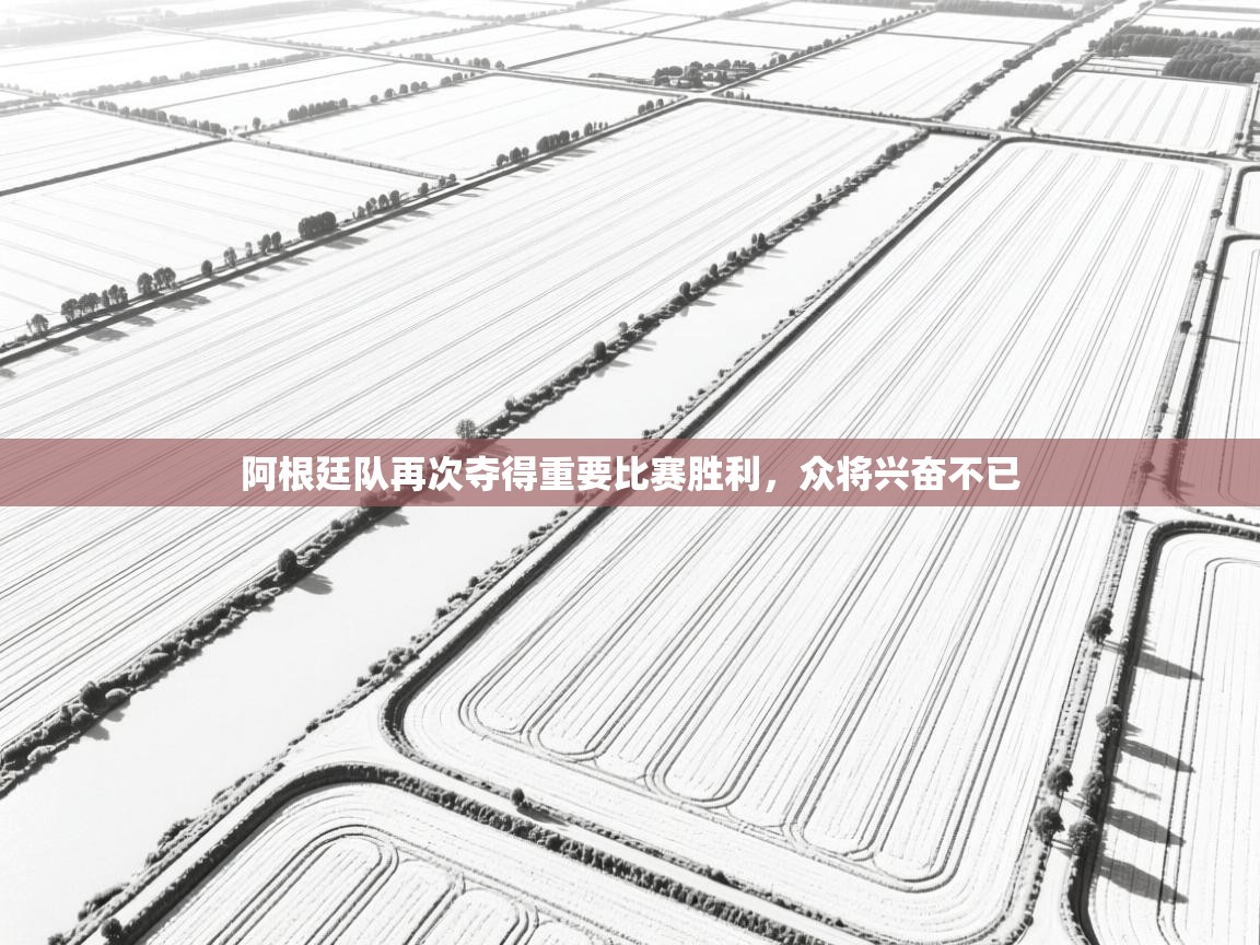 蓝鲸体育直播在线观看-阿根廷队再次夺得重要比赛胜利，众将兴奋不已  第3张