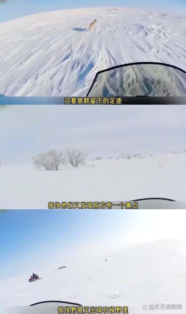 关于惊心动魄，谁将在终极对决中脱颖而出？的信息